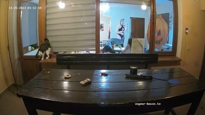 realm59-cam116-1700867561