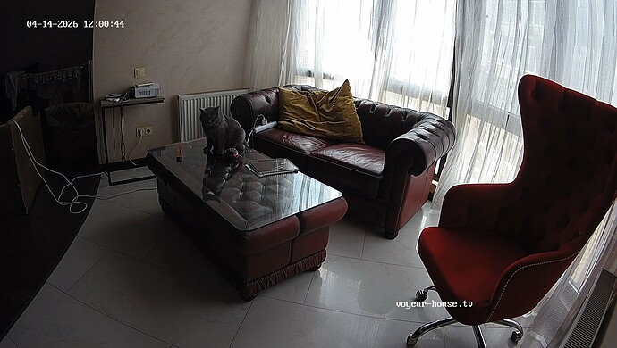 realm8-cam14-1776157831