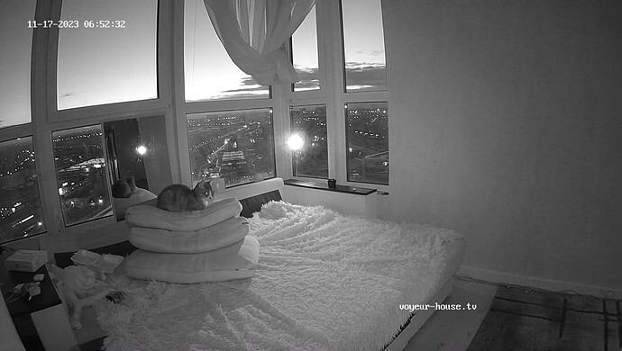 realm6-cam15-1700193220