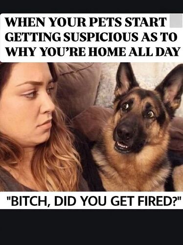 641652606_10161696121586920_3520494960748949649_n