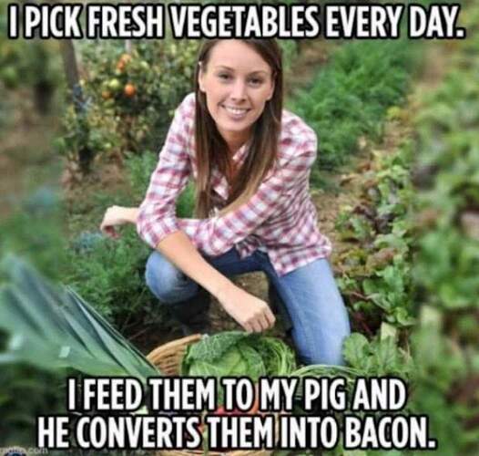 FB_IMG_1691792668401