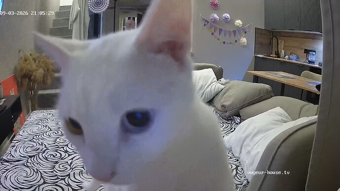 realm56-cam15-1788458880
