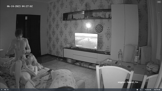 Ashampoo_Snap_mardi 13 juin 2023_23h29m4s_009_Living room camera at Edrym & Roza reallifecam apartment at Voyeur House TV (cam13) - Google Chrome