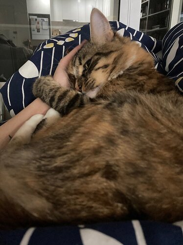 main-qimg-a3e62f899fec4bb38b970a60c2ead94a-lq