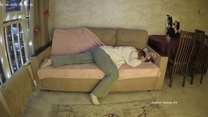 Noldus 2026-01-29 22-52-22-034