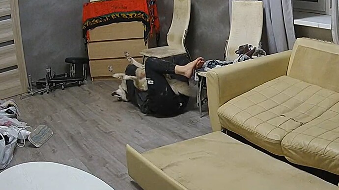 Noldus 2023-10-17 03-18-13-170