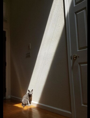 main-qimg-74bd59825ee2d747baa19a1be5ca01f2