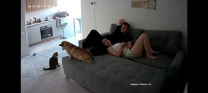 Screenshot_2024-06-29-19-49-10-01_8573dc4a856c512140bc72950d2d8f9e