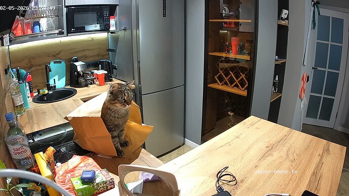 realm144-cam12-1770324868