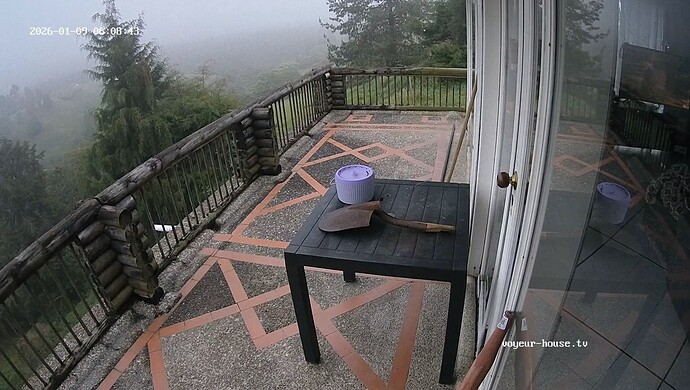 realm139-cam18-1767956963