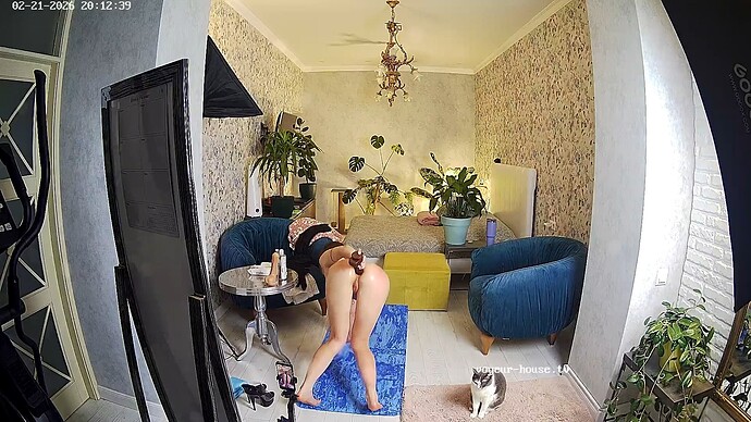 realm35-cam18-1771697599 (1)