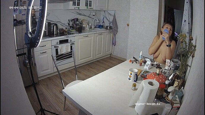 Ashampoo_Snap_vendredi 4 avril 2025_17h12m29s_013_Kitchen camera at Camille reallifecam apartment at Voyeur House TV (cam12) - Google Chrome