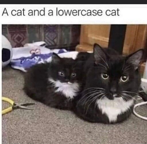 main-qimg-12e770d6e486a0bd146c049e4a3c9998