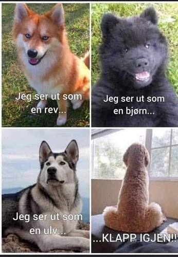 625624524_10162313170701917_3135899787201246459_n