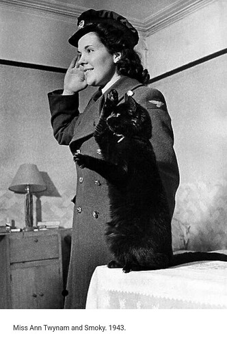 In 1940 Smoky the cat was rescued after an air raid. Miss Ann Twynam of Paddington took him home, and nursed him back to health. She taught Smoky to salute, and whenever service friends visited Smoky loved to do his saluting