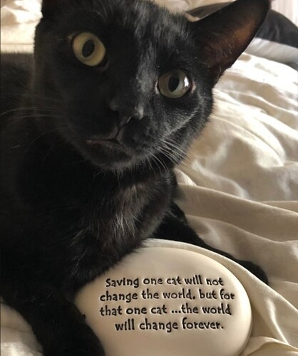 main-qimg-092add4e0a79aba2556e7801be48cac3