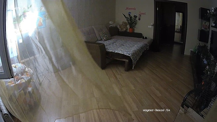 realm37-cam15-1717790944