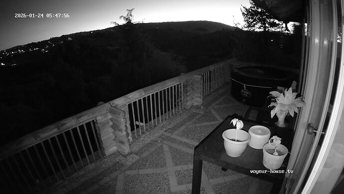 realm139-cam18-1769251713