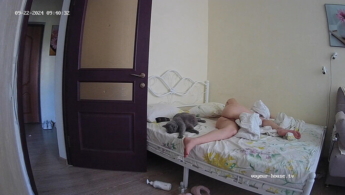 realm36-cam16-1726994056