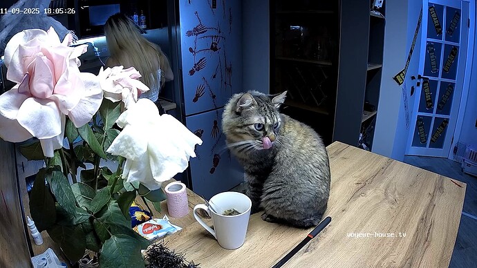 RosyAleks-20251109-05