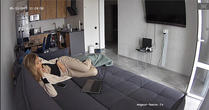 Screenshot 2023-05-13 at 12-41-52 Guest bedroom camera at Sophia Elon Claudia reallifecam apartment at Voyeur House TV (cam110)