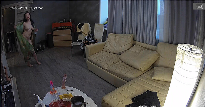 Screenshot 2023-07-08 at 20-28-45 Living room camera at Alida Gerda reallifecam apartment at Voyeur House TV (cam13)