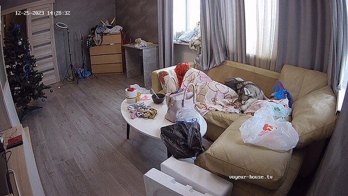 realm62-cam13-1703503749