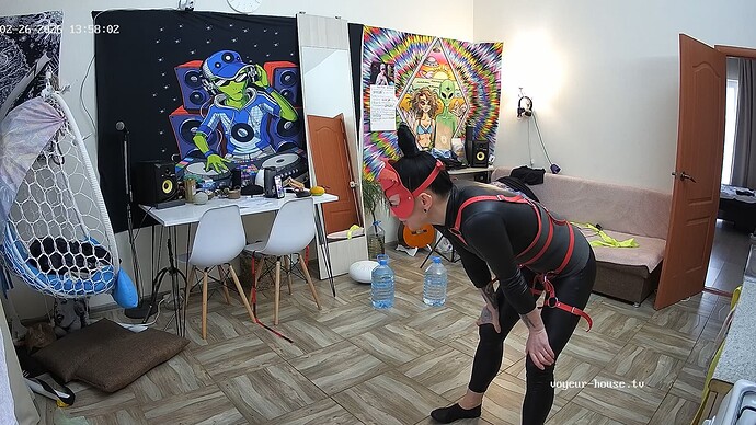 Noldus 2026-02-26 11-58-36-921