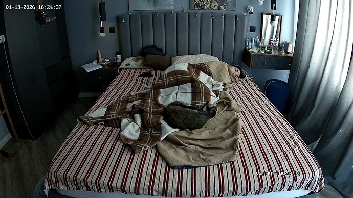 realm94-cam17-1768312754