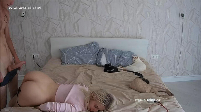 Screenshot 2023-07-25 at 12-31-22 Bedroom camera at Ceres reallifecam apartment at Voyeur House TV (cam17)