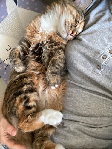 main-qimg-524c3513e108d9c4a8e59fa0a998e7e9-lq