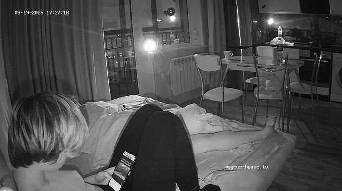 Ashampoo_Snap_mercredi 19 mars 2025_15h37m57s_002_Living room camera at Tea reallifecam apartment at Voyeur House TV (cam14) - Google Chrome