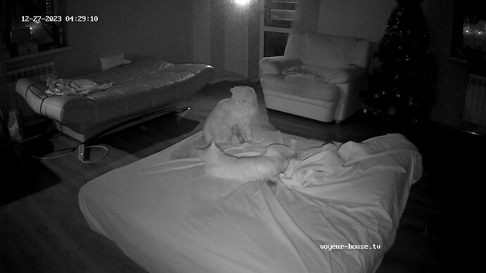 Struggles for the throne 7