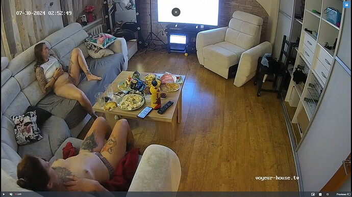 Ashampoo_Snap_mardi 30 juillet 2024_1h53m31s_013_Living room camera at Henry & Jutta reallifecam apartment at Voyeur House TV (cam14) - Google Chrome