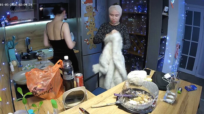 realm94-cam12-1767569702