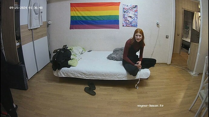 Ashampoo_Snap_mardi 24 septembre 2024_20h37m11s_003_Living room camera at Tristan reallifecam apartment at Voyeur House TV (cam14) - Google Chrome