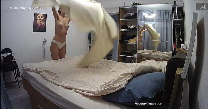 Screenshot 2023-08-08 at 22-35-55 Living room camera at Alida Gerda reallifecam apartment at Voyeur House TV (cam14)