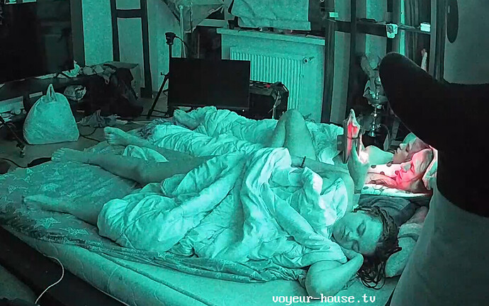 Screenshot 2023-08-13 at 22-06-04 Sophia & Elon camera at Sophia Elon Claudia reallifecam apartment at Voyeur House TV (cam16)