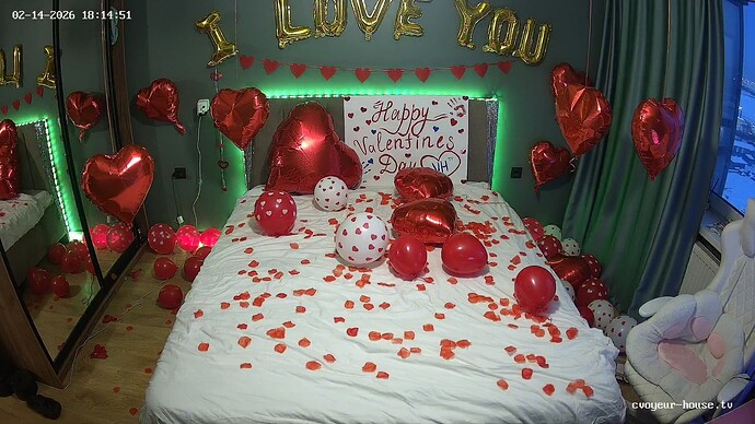 realm135-cam17-1771082135