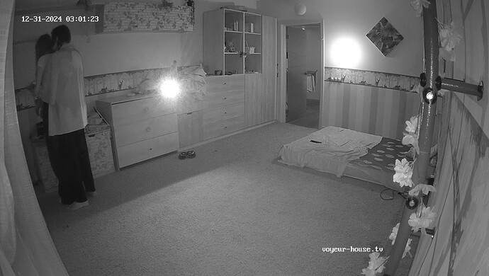 realm55-cam19-1735592657