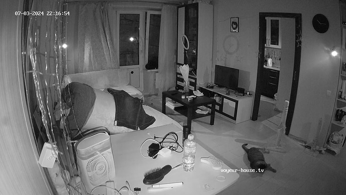 realm7-cam13-1720034248