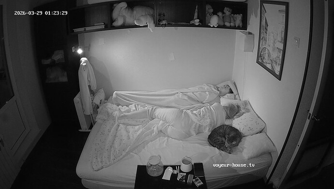 realm7-cam17-1774736674