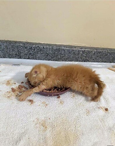 main-qimg-f488be9dbe73aa643bb30596127ef817