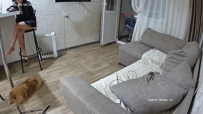 videoframe_56005
