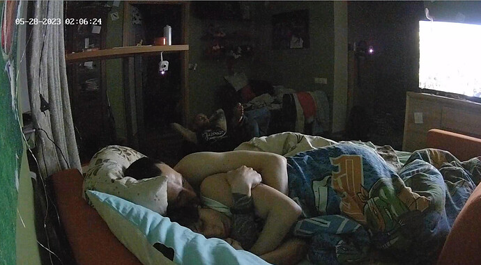 Screenshot 2023-05-27 at 19-06-30 Living room camera at Playboy House reallifecam apartment at Voyeur House TV (cam13)