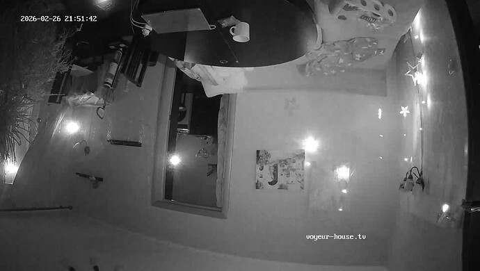 realm7-cam15-1772131943