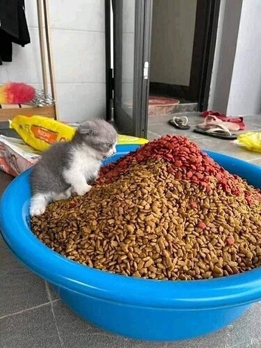 main-qimg-12b45b89895ae9de802be973f050c020