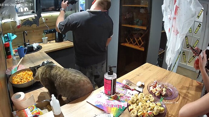 realm94-cam12-1762027966