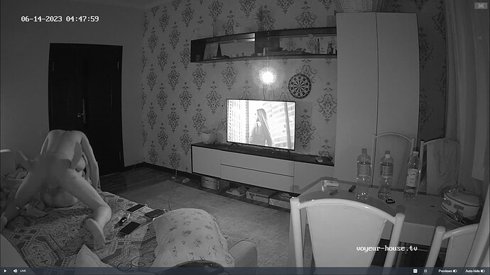 Ashampoo_Snap_mardi 13 juin 2023_23h54m43s_018_Living room camera at Edrym & Roza reallifecam apartment at Voyeur House TV (cam13) - Google Chrome
