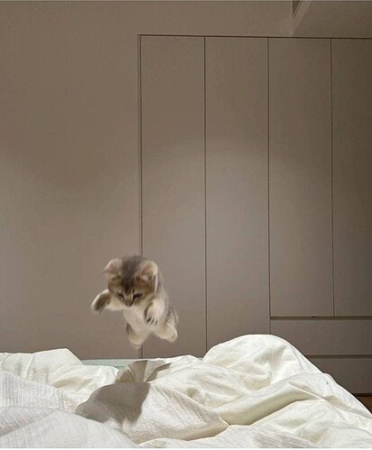 main-qimg-7f5e790f534fbc9d03e71d52c09f186d